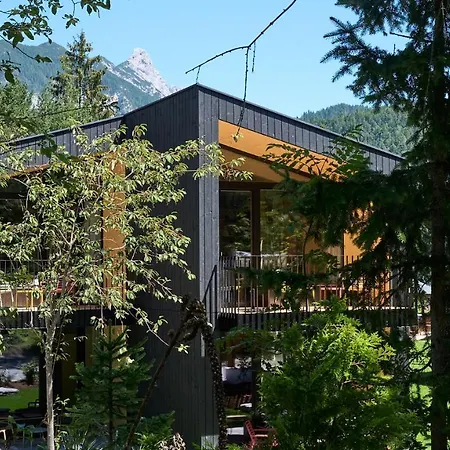 Kokon * ליוטאש