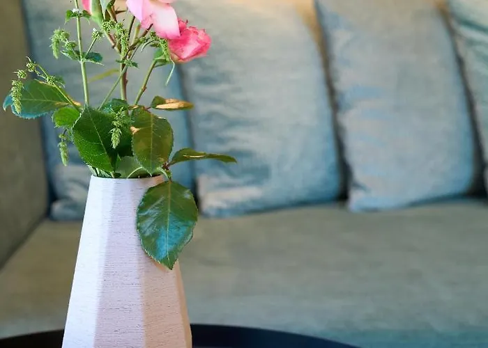 Kokon * ליוטאש