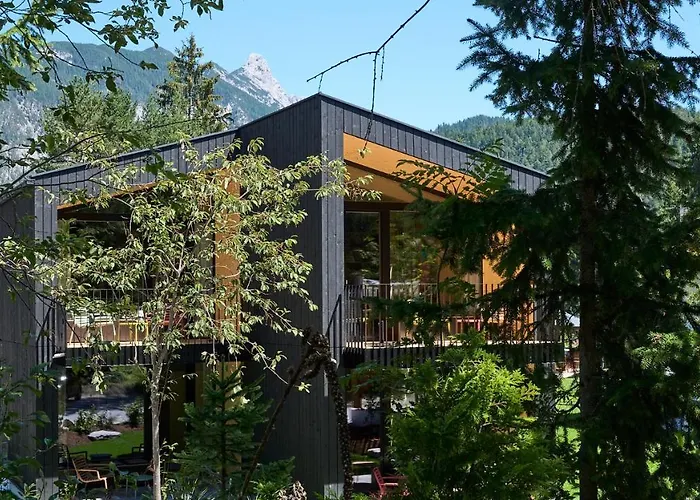 Kokon * ליוטאש