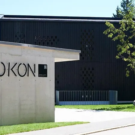 Kokon *