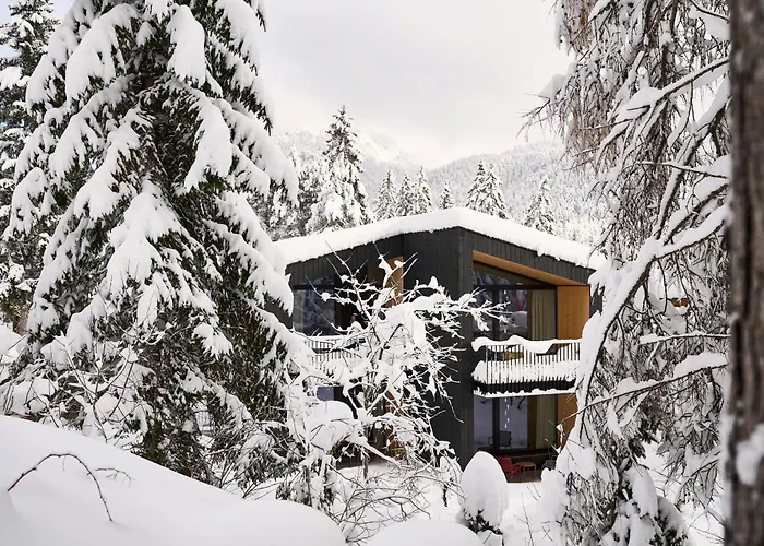 Kokon * ロイタシュ